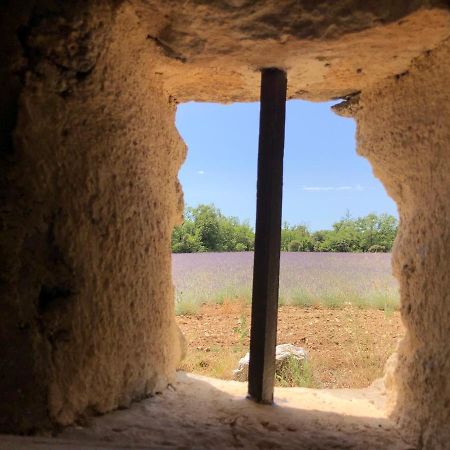 세뇽 Cabanon Du Berger 빌라 외부 사진